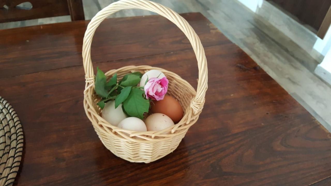 Willa Casa Molina Alcaucín Zewnętrze zdjęcie